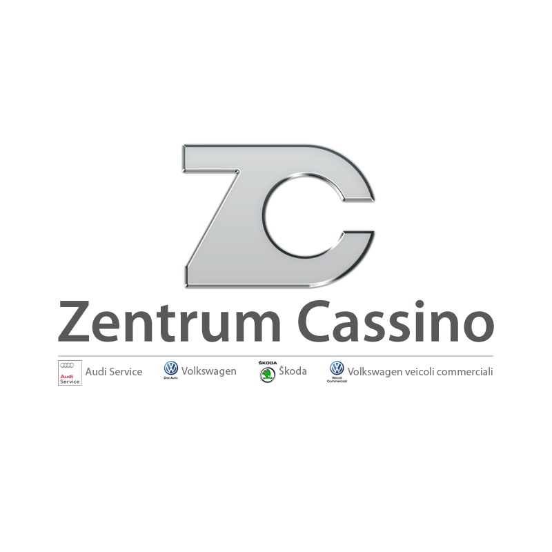 2013 - Logo - Zentrum Cassino - Audi Service